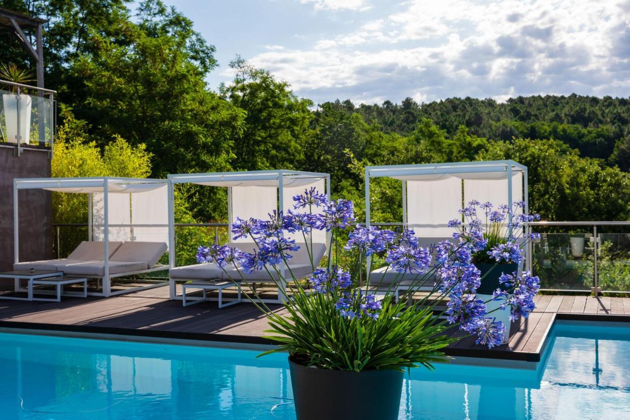 Domaine De Chalveches Hotel Spa 4* Faugeres  Eksteriør bilde
