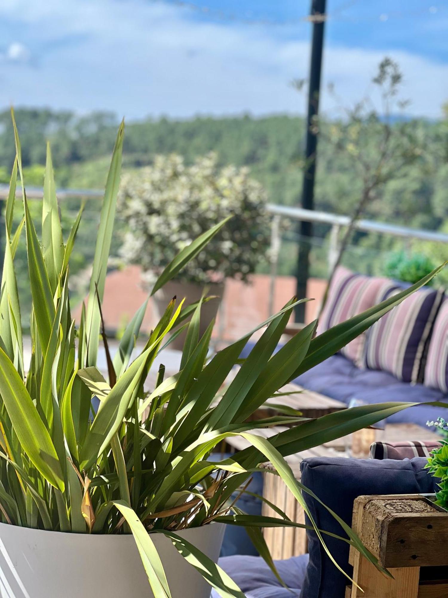 Domaine De Chalveches Hotel Spa 4* Faugeres  Eksteriør bilde